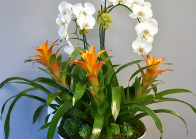 orchid floral arrangement